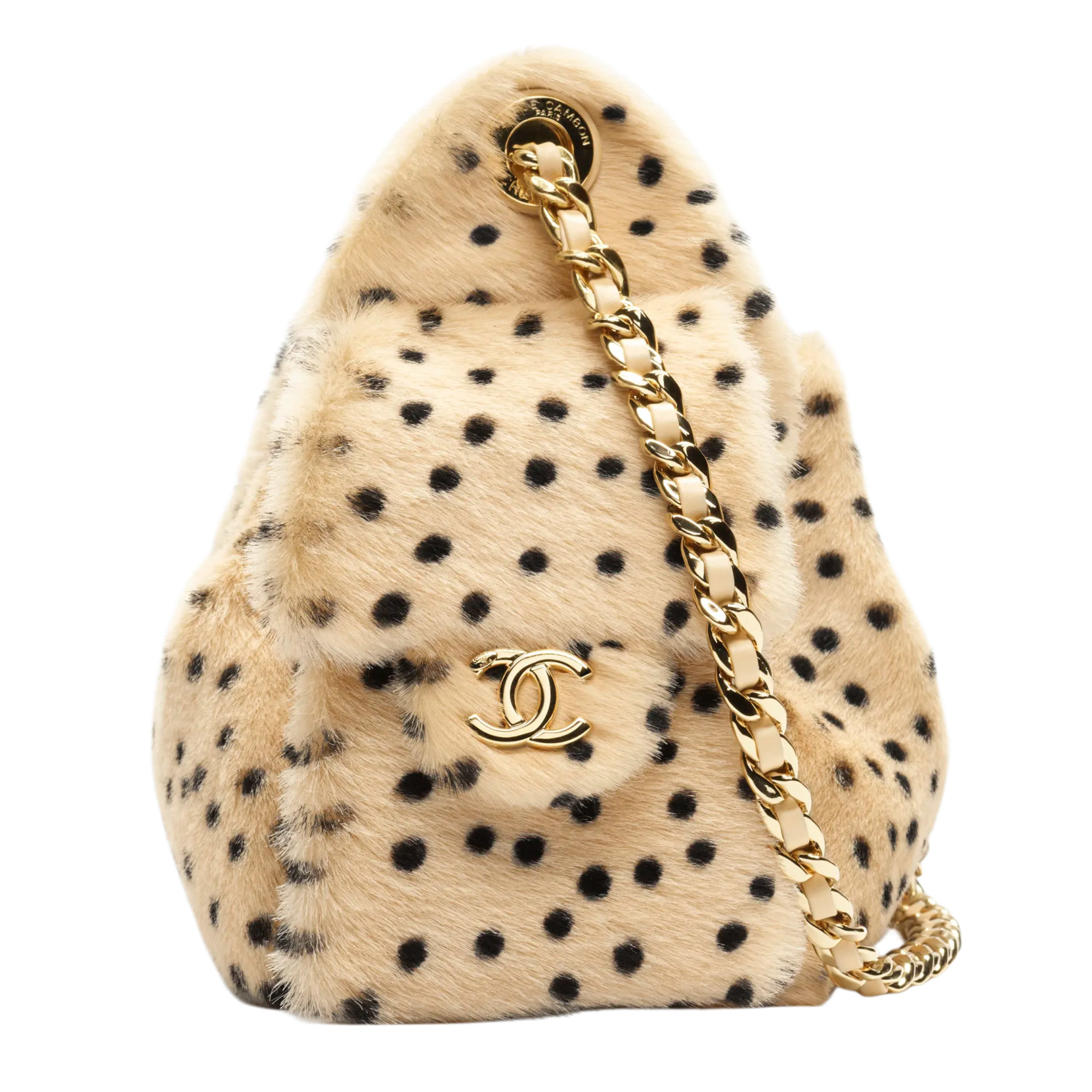 Chanel 25 Mini Handbag