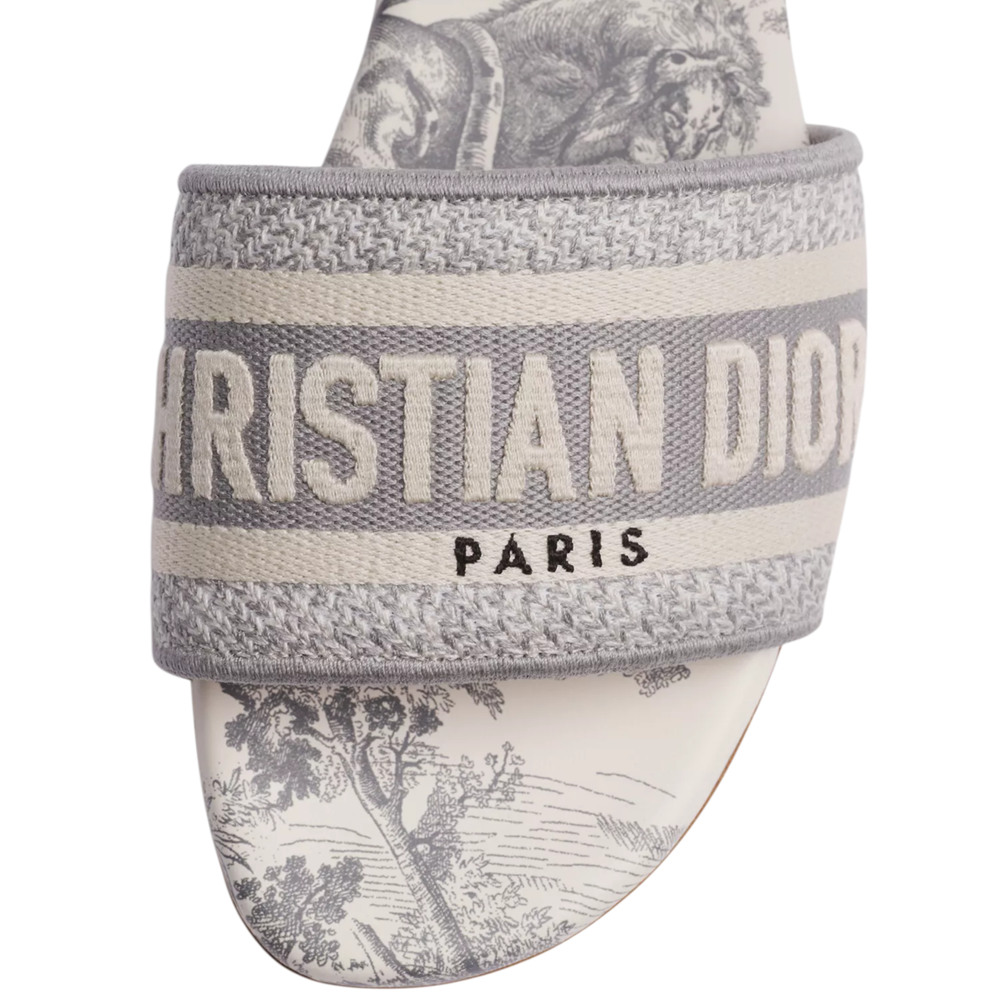 Dior Dway Slides