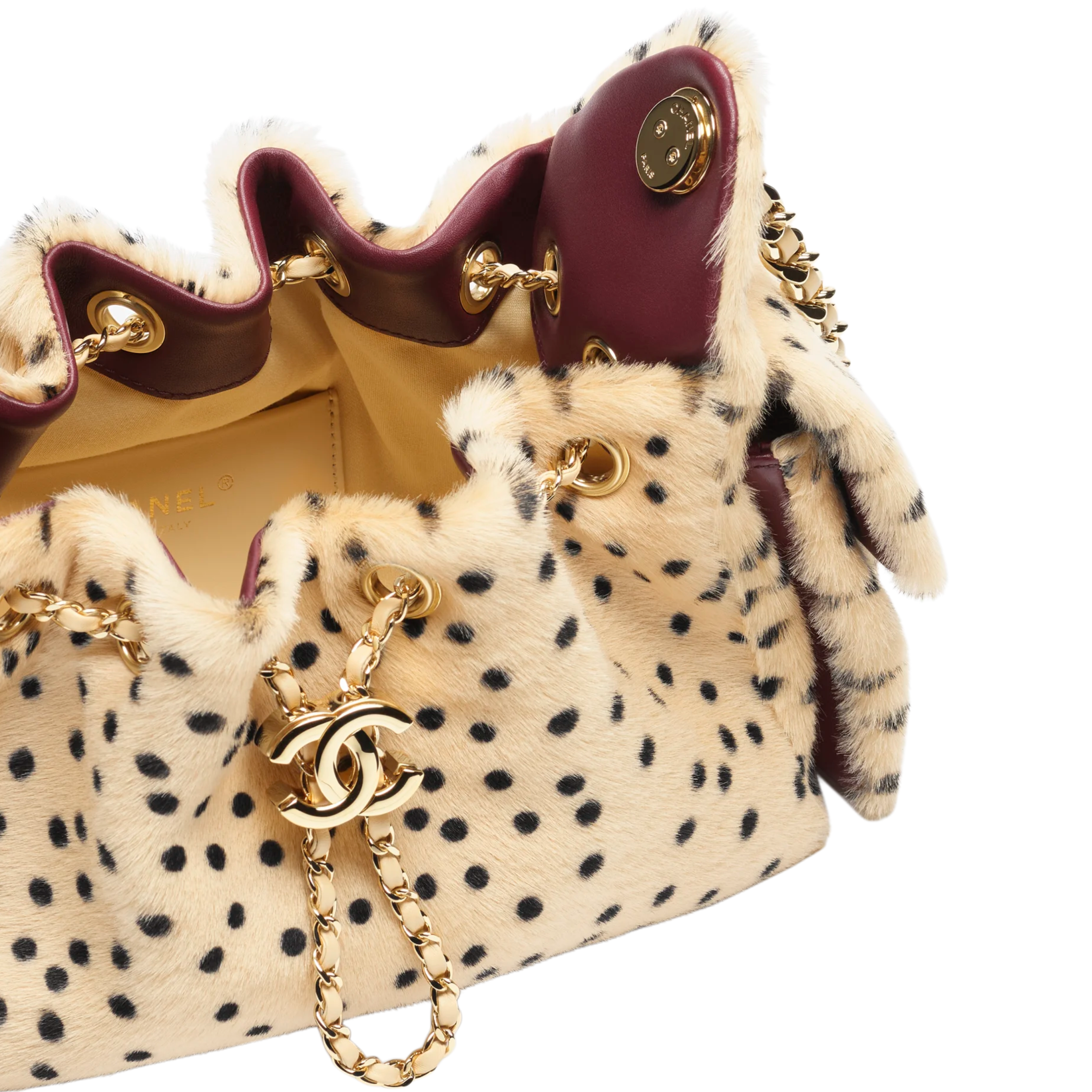 Chanel 25 Mini Handbag