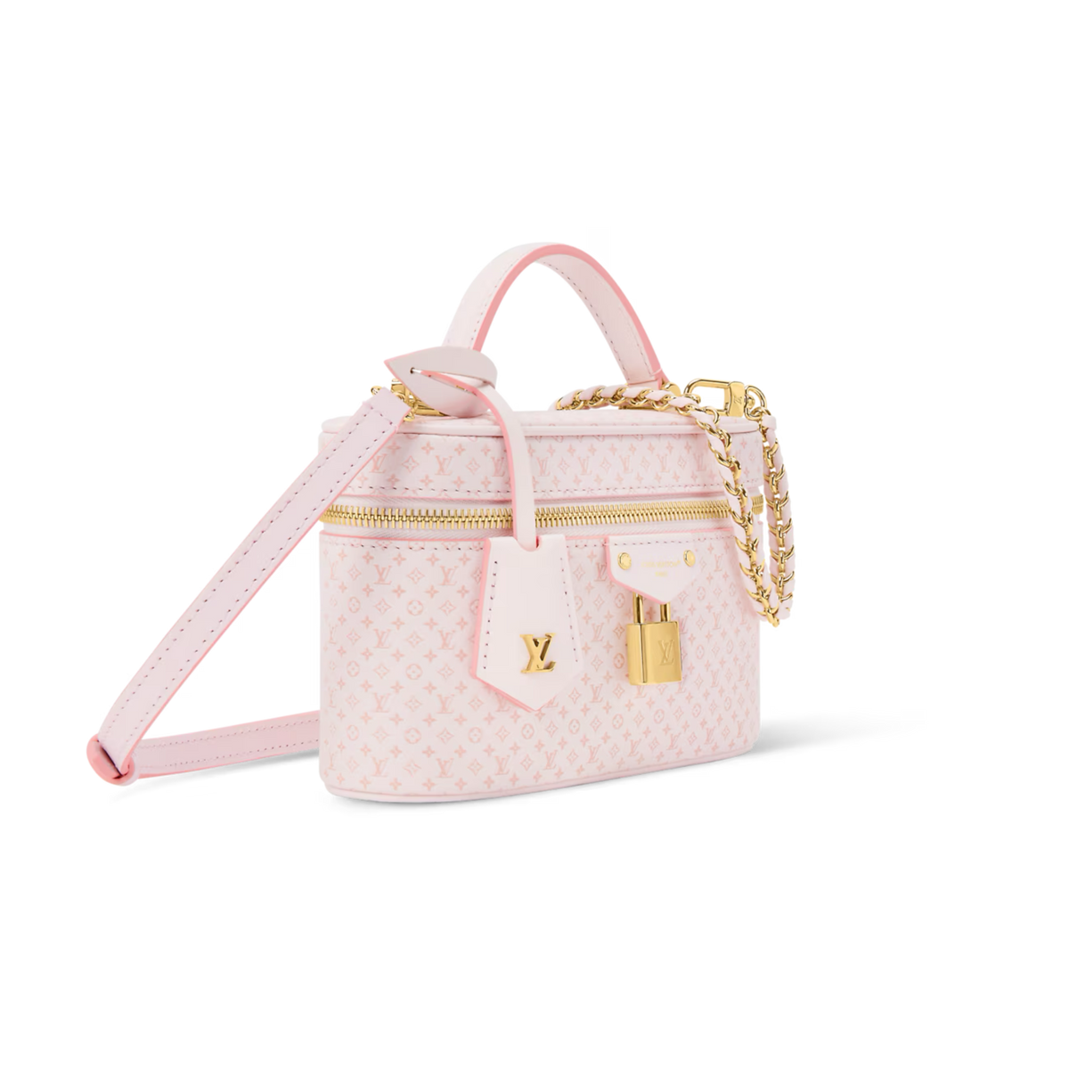 Louis Vuitton Vanity Pouch